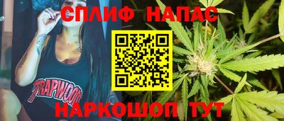 ешки Абакан