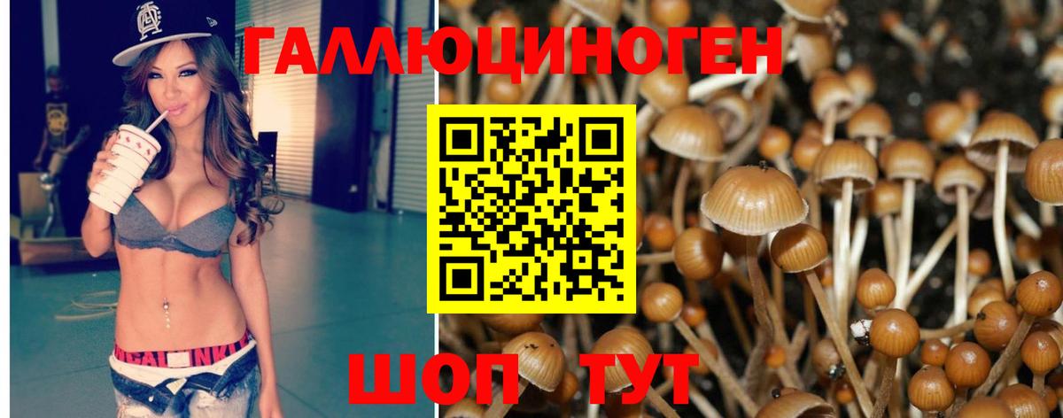Галлюциногенные грибы Magic Shrooms  Котельники  Галлюциногенные грибы Psilocybe 