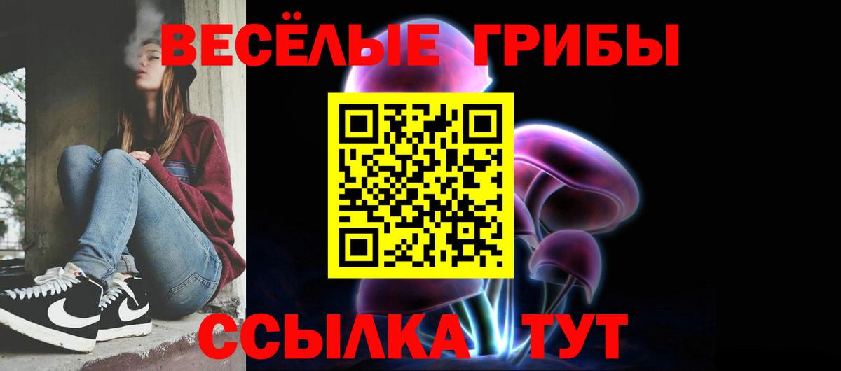 Галлюциногенные грибы GOLDEN TEACHER  Вход с VPN  Котельники 