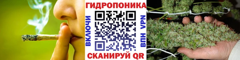Бошки марихуана сатива Котельники